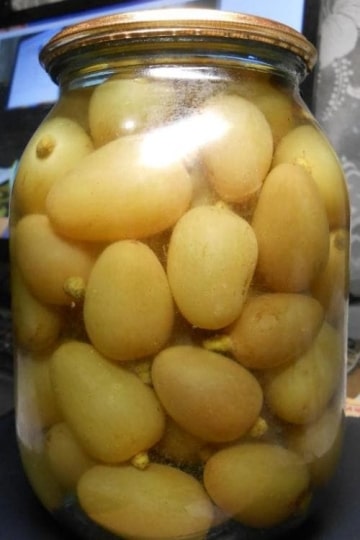 Маринованная Бажена